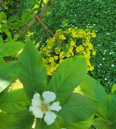 Gasthof Jovana Vrdnik