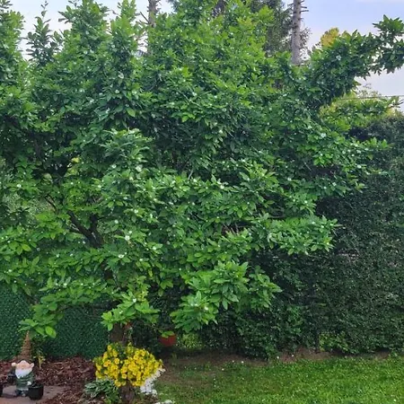 Jovana Gasthof Vrdnik