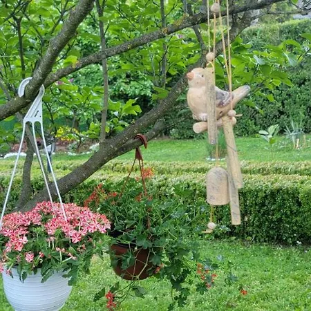 Gasthof Jovana Vrdnik