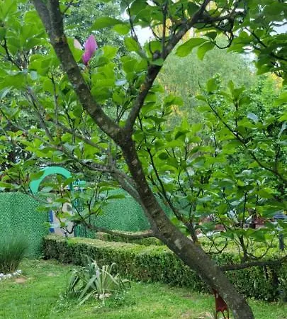 Jovana Gasthof Vrdnik